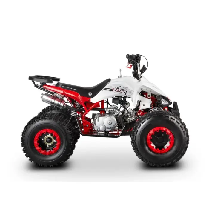 ATV Barton EAGLE 125cc - imagine 2